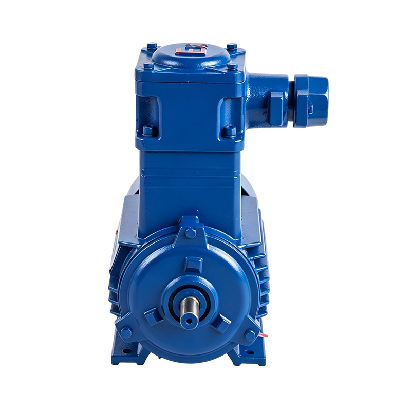 YBX3 High-Torque Explosion-Proof Induction Motor (6-pole) YBX3 High-Torque Explosion-Proof Induction Motor (6-pole)