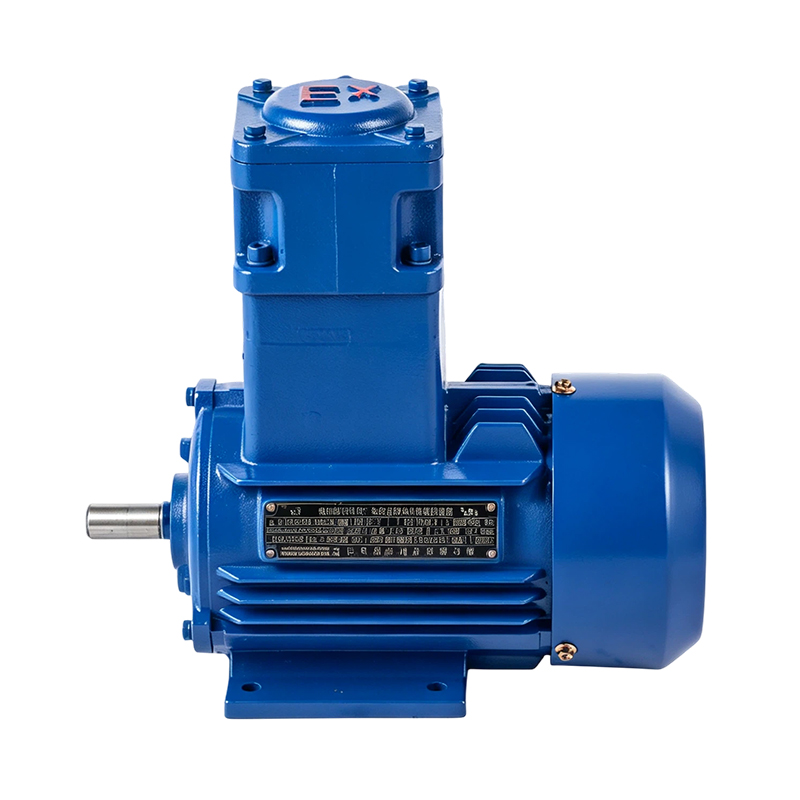 YBX3 High-Torque Explosion-Proof Induction Motor (6-pole) YBX3 High-Torque Explosion-Proof Induction Motor (6-pole)