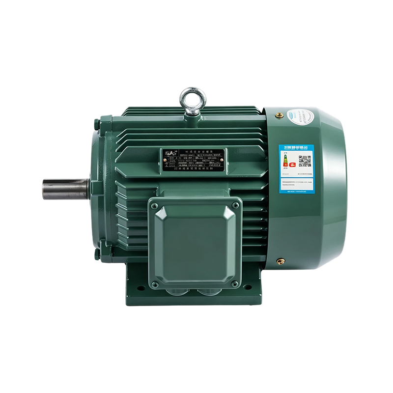 YE3/IE3 Heavy-Duty High-Efficiency Induction Motor (6-pole)