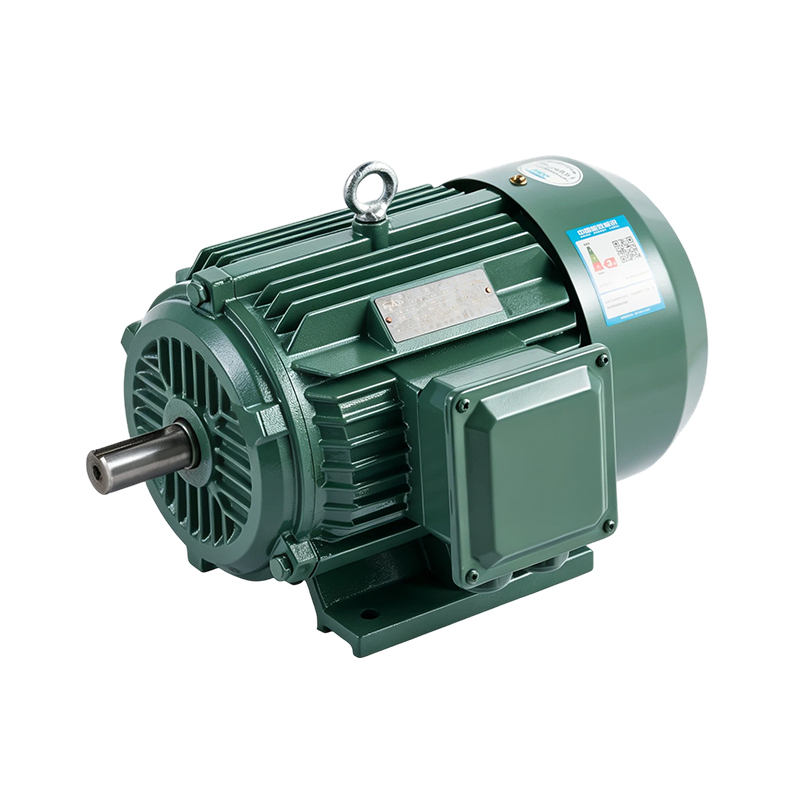 YE3/IE3 Standard High-Efficiency Induction Motor