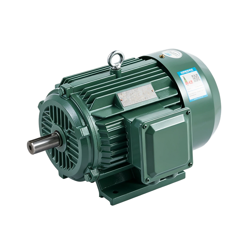 YE3/IE3 Heavy-Duty High-Efficiency Induction Motor (6-pole)