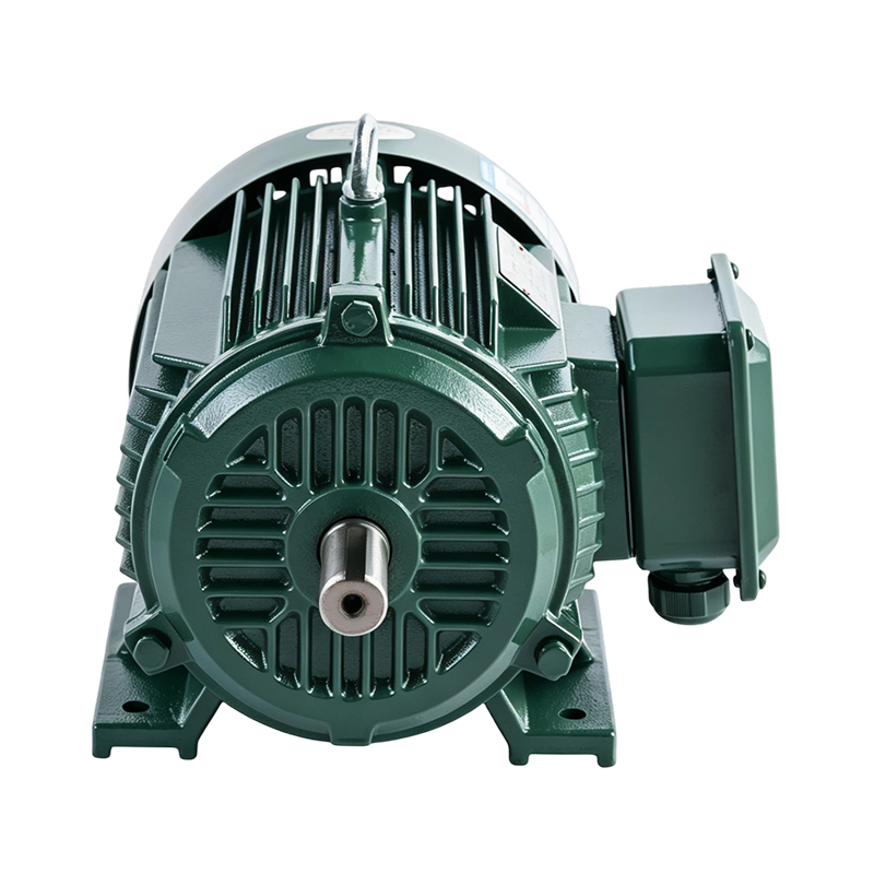 YE3/IE3 Heavy-Duty High-Efficiency Induction Motor (6-pole)