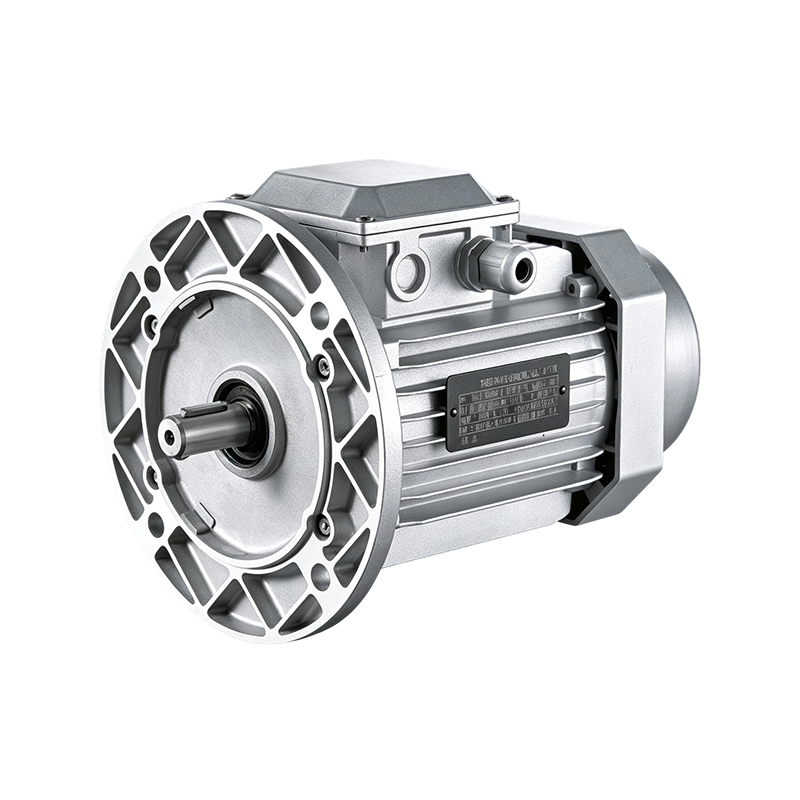 YE3/IE3 High-Speed Aluminum Shell Induction Motor (2-pole)